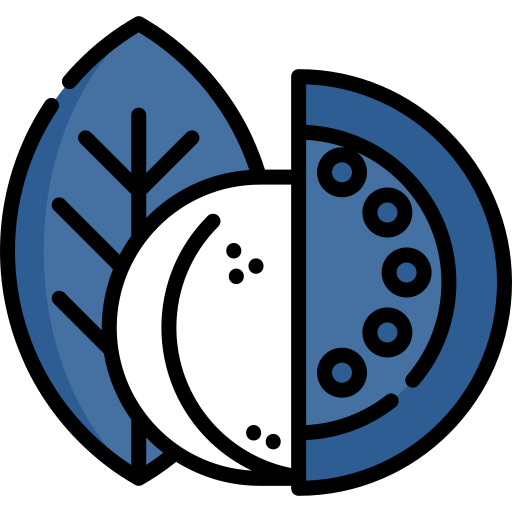 Des feuilles et des fruits